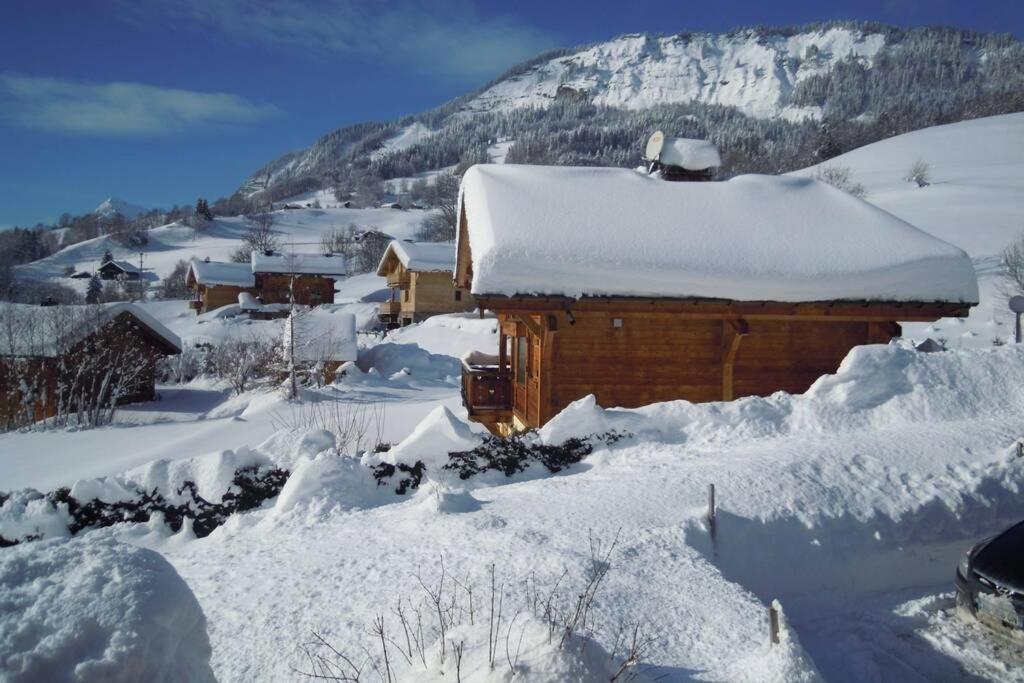 A4 Km De Megeve Tres Joli Studio Avec Jacuzzi ,Vue Sur Les Montagnes Au Calme Praz-sur-Arly Kültér fotó